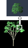 tree3